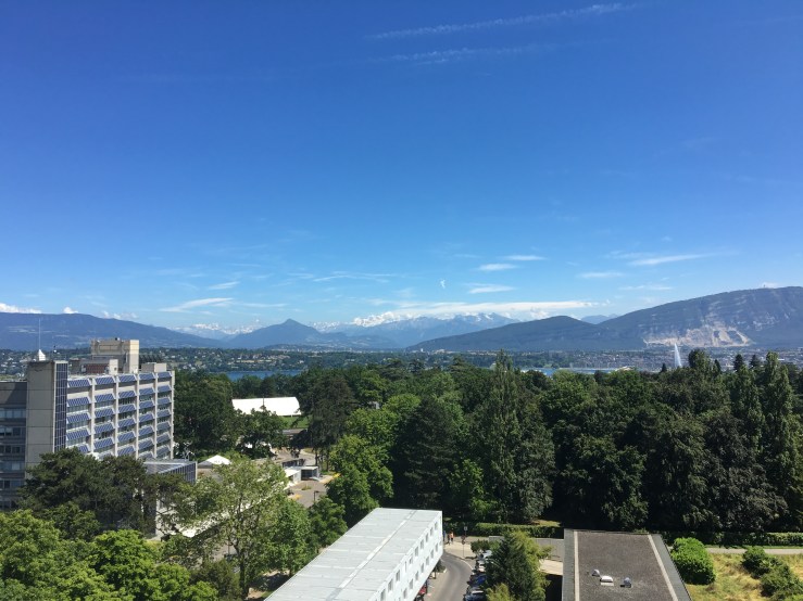 20160704_132217273_iOS