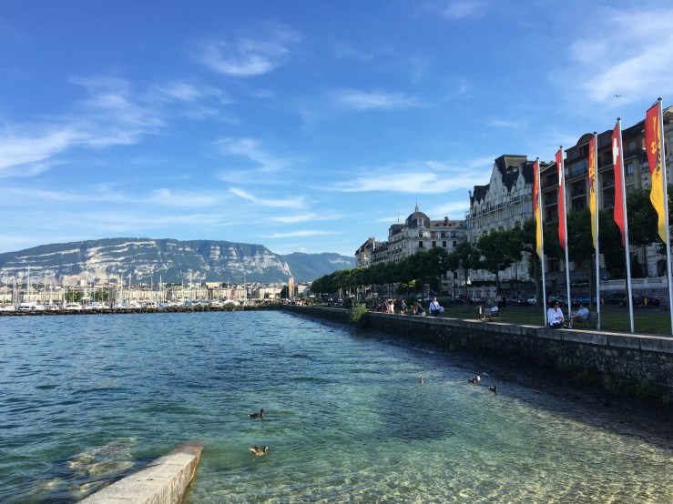 20160706_161958718_iOS