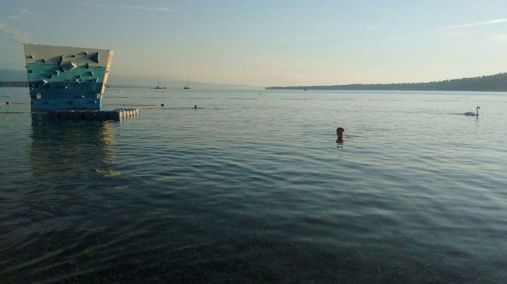 20160816_154916000_iOS